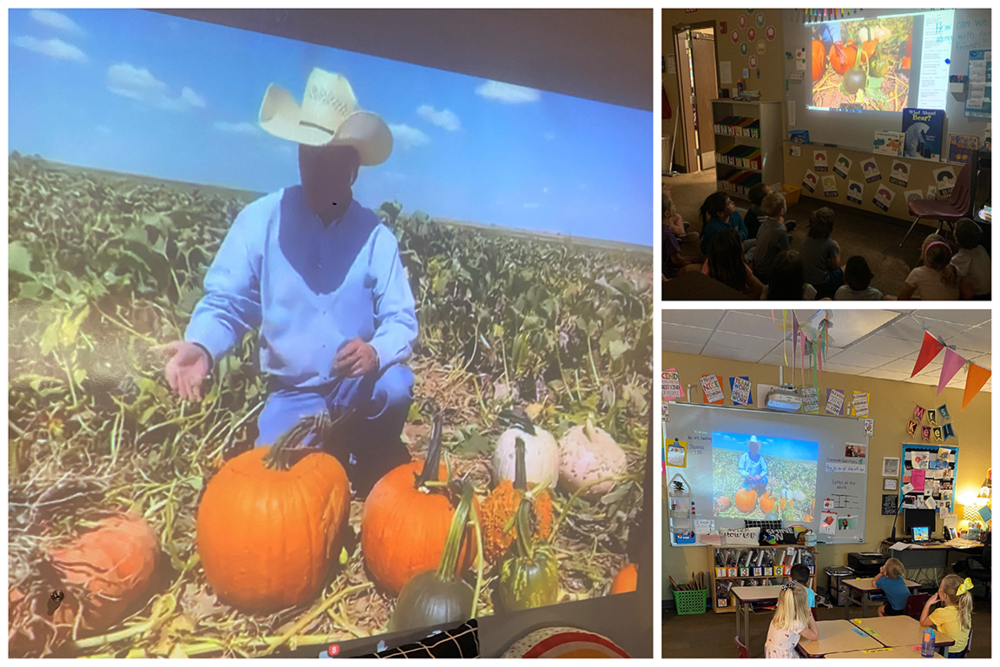 farmer explaining pumpkin growth