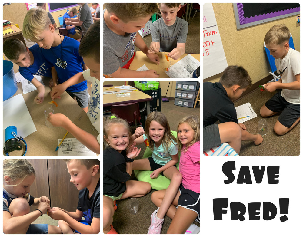 Save Fred Collage