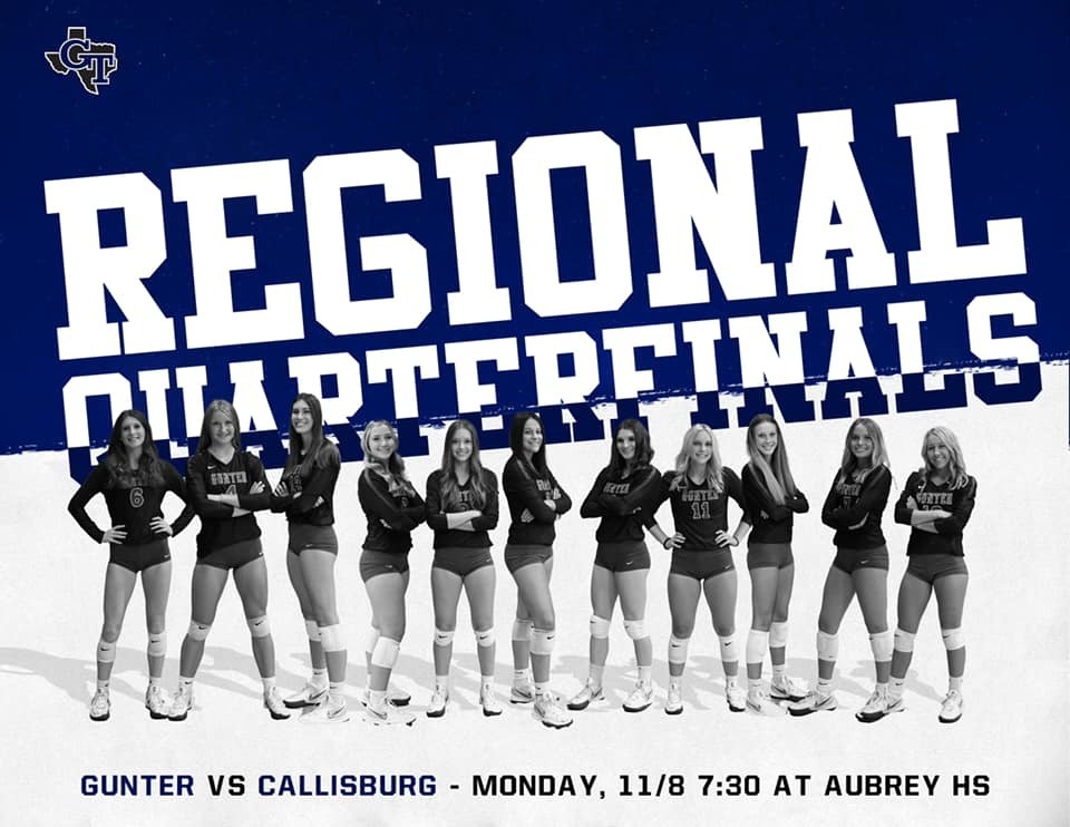 Volleyball Poster