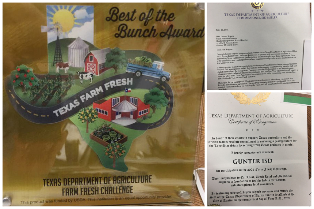Best of the Bunch Award
